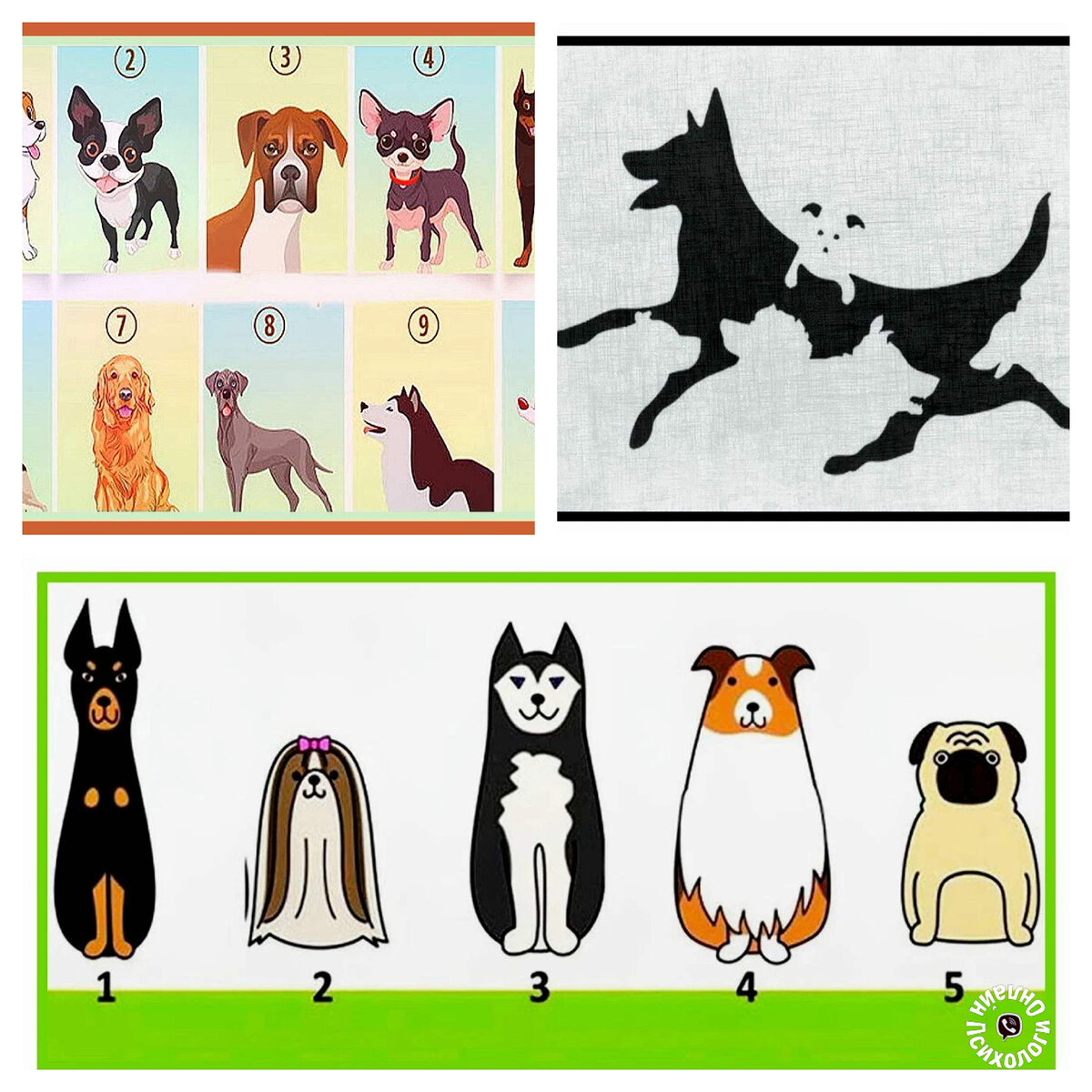 Подборка лучших психологических тестов с собаками. Выбор подписчиков.