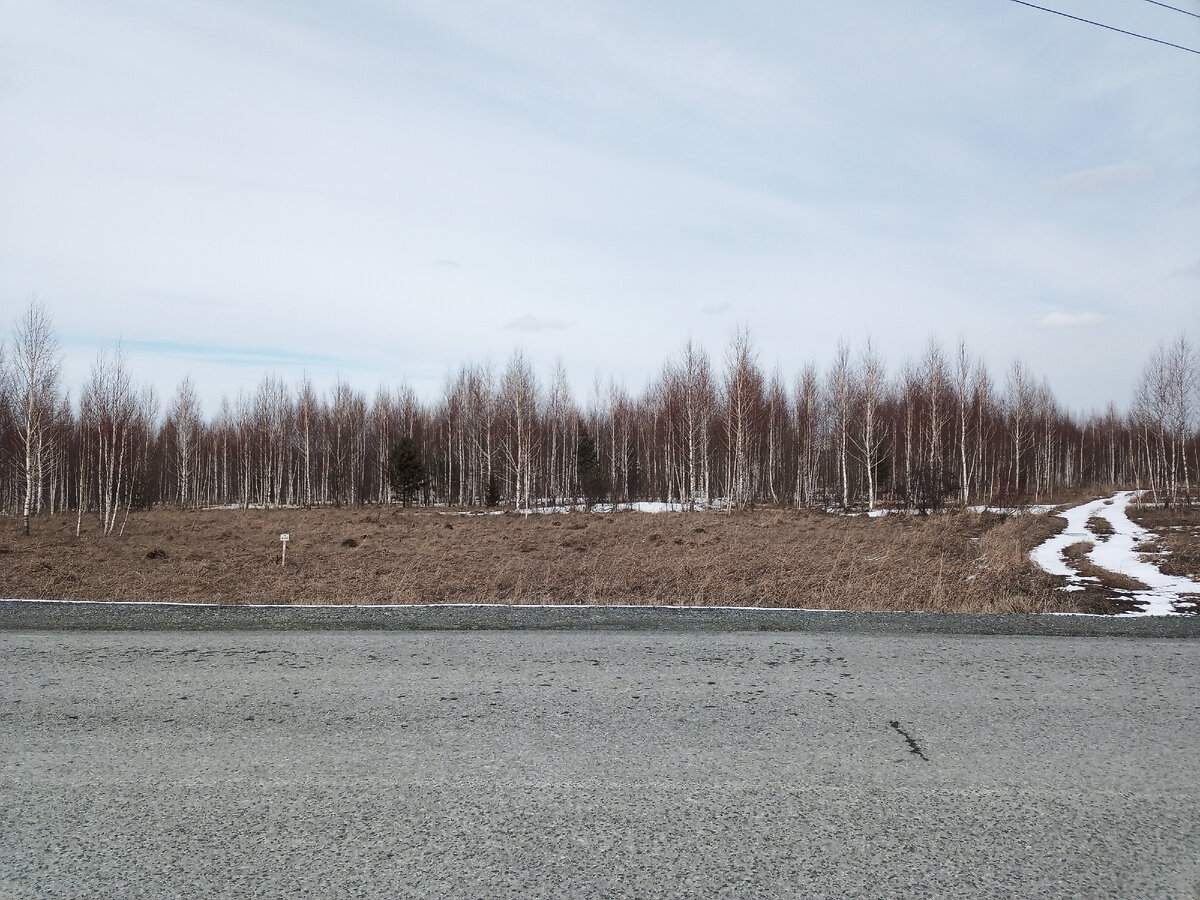 поля запущенные с 90-х