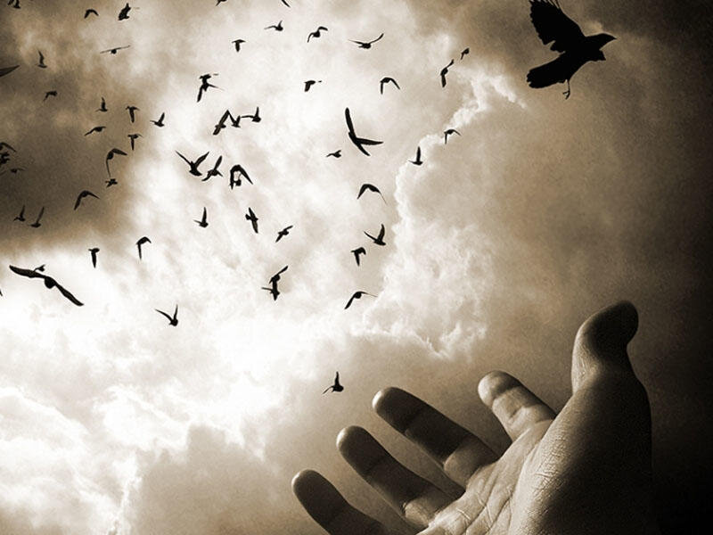 Фото из интернета