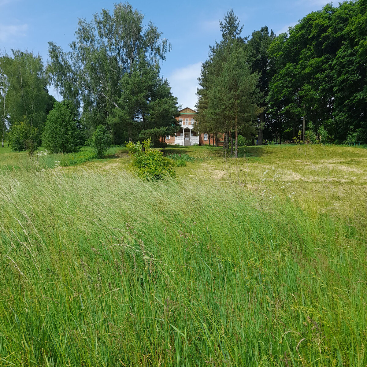 Малое Пирогово, господский дом, а рядом старая школа (руины). Моя мама, будучи школьницей, ночевала в этом доме у своей учительницы по немецкому - Анны Михайловны. Дело в том, что Упа разливалась так сильно, что невозможно было попасть на другой край села. 