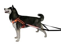 Пуллинговая шлейка 