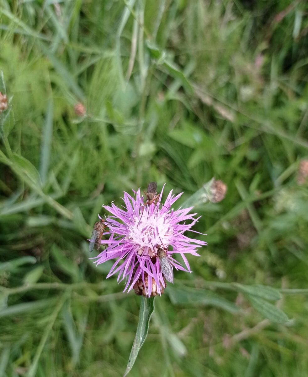 Фото из личного архива 