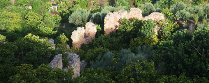 Это место ещё называют висячими садами Туниса или Висячие сады из Джебба-эль-Олия (источник: www.fao.org)