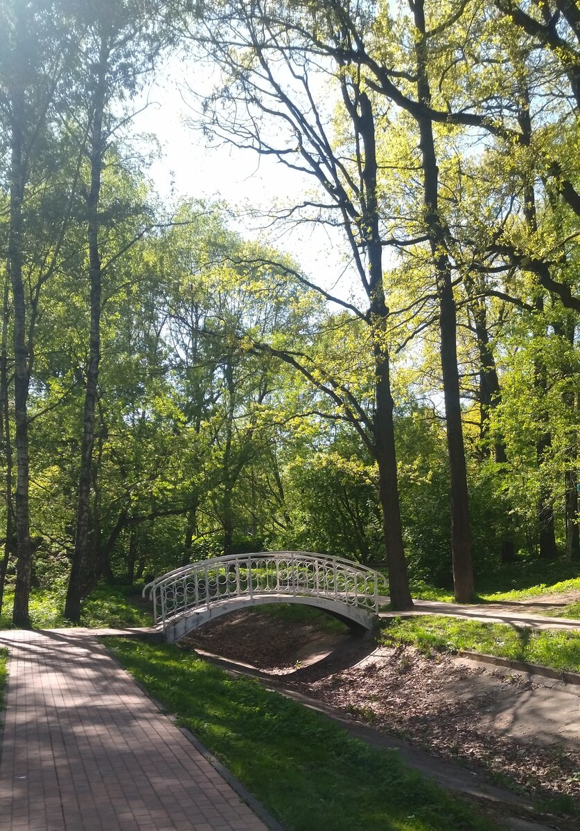 Лианозовский парк. Прогулка моя. Фото моë.