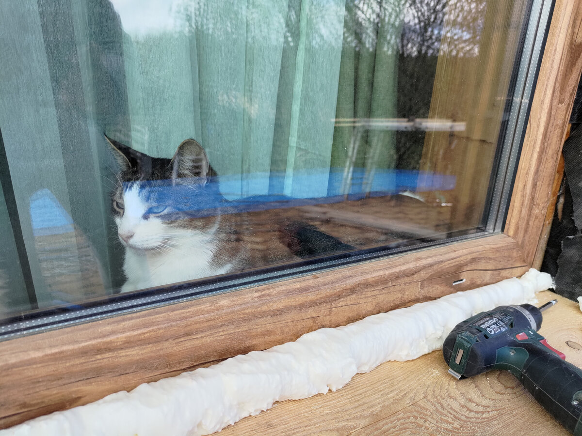 Он не убегает только когда видит меня через окно.