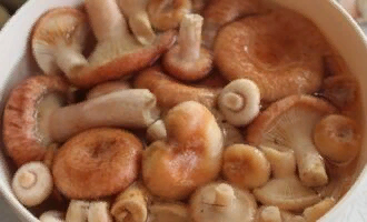 Фото: В. Коломиец