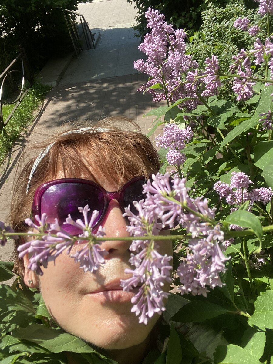 Сирень
