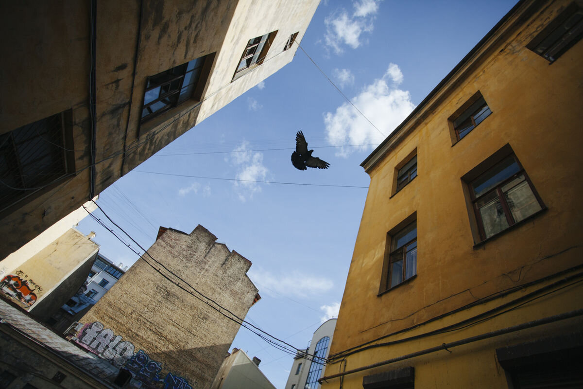 Николай Щеголев