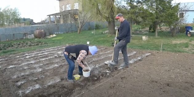 Кадр: Мои Увлечения / YouTube📷
