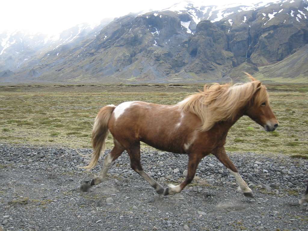 Фото flickr.com/andresmh