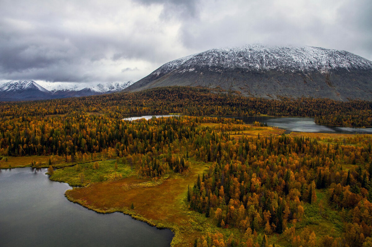 Фото Яндекс картинки 