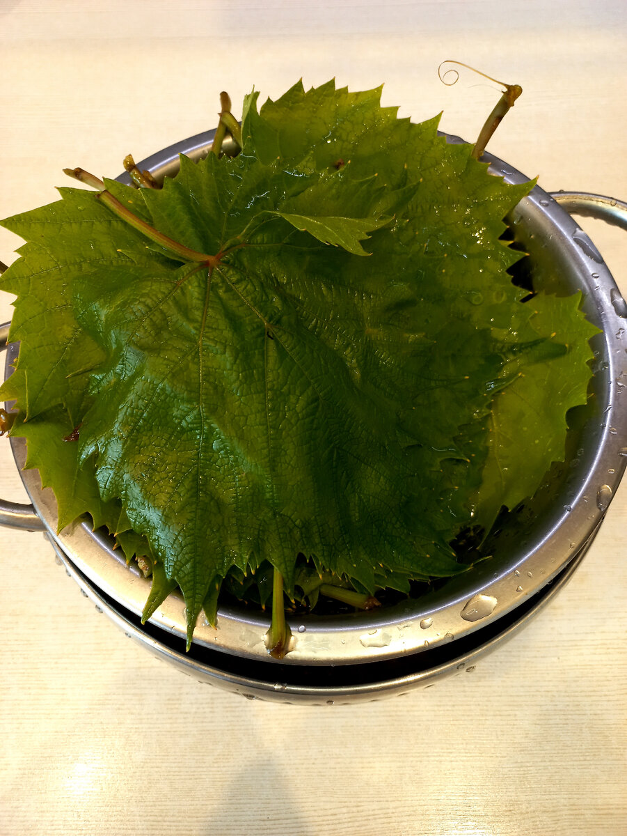 Моем виноградные листья