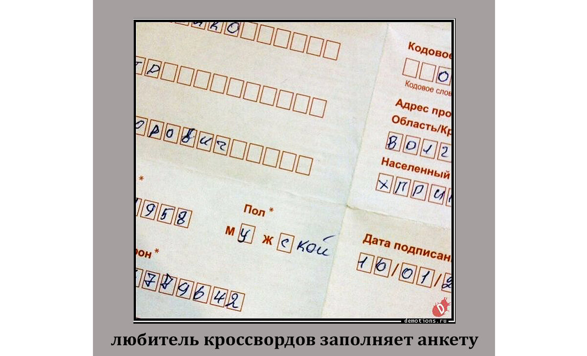 Главное знать правила!
