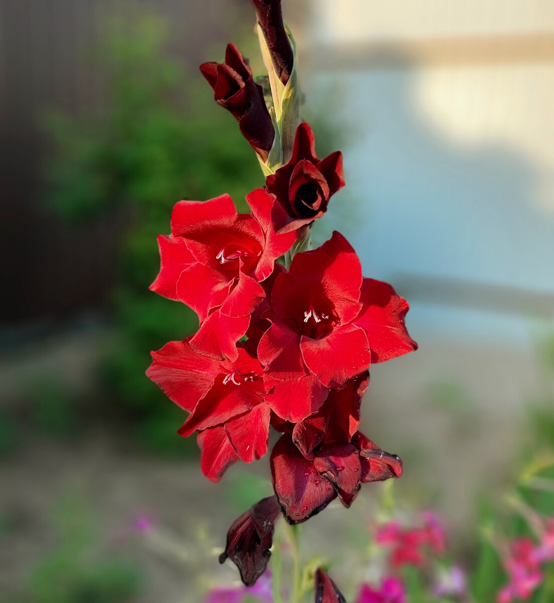 И ещё немного вам красоты...