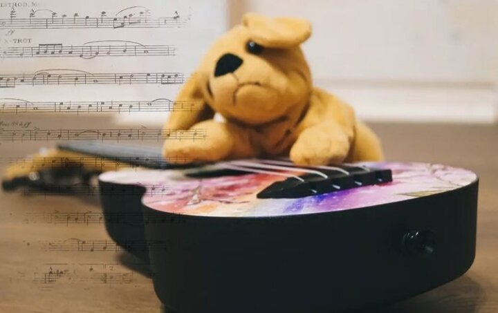 Агрессивное укулеле