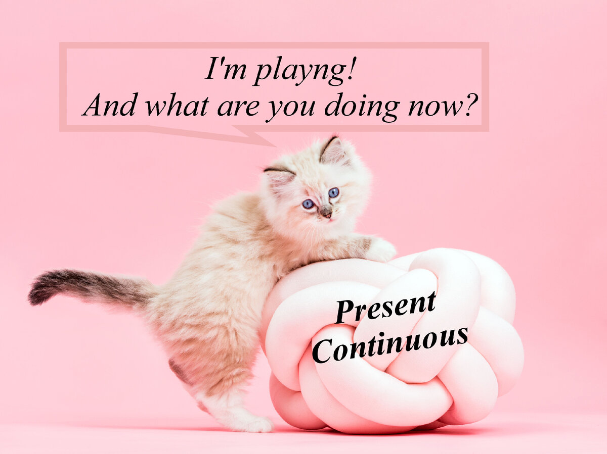 Present Continuous Тense в английском языке | English Cats | Дзен