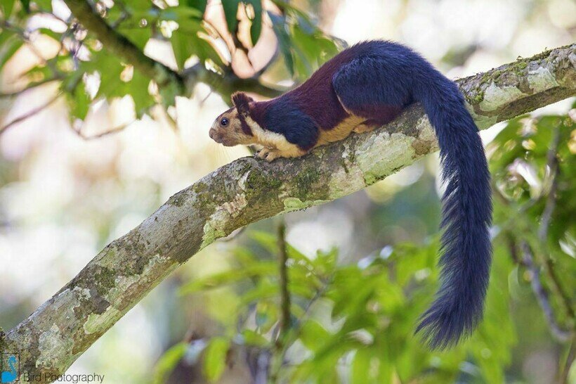    14 природных шедевров, способных ввести в благоговейный ступор