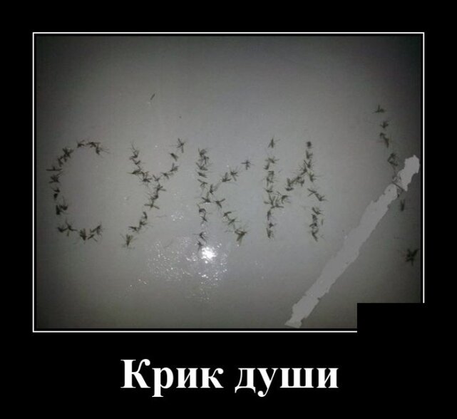 Картинки прикольные крик души