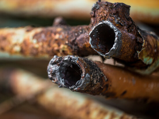     Фото Freepic.com