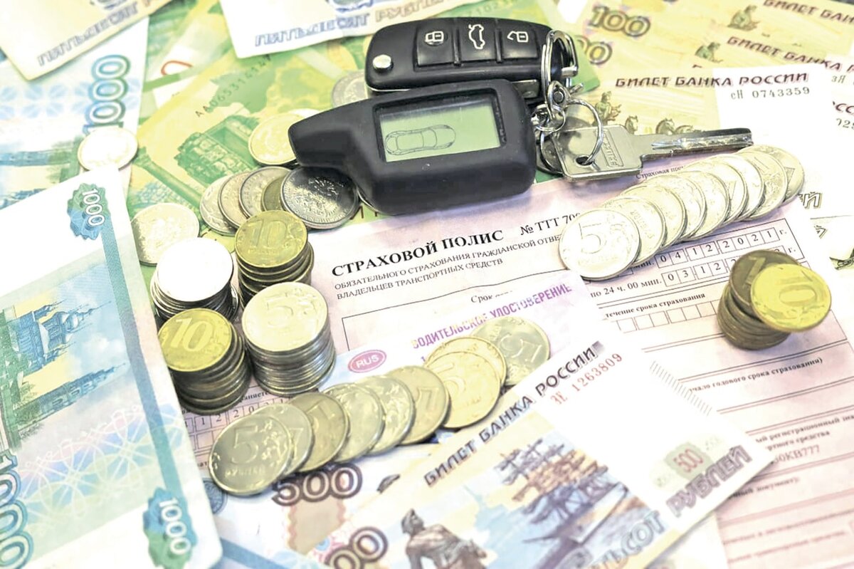 Фото: Наталья Сомова