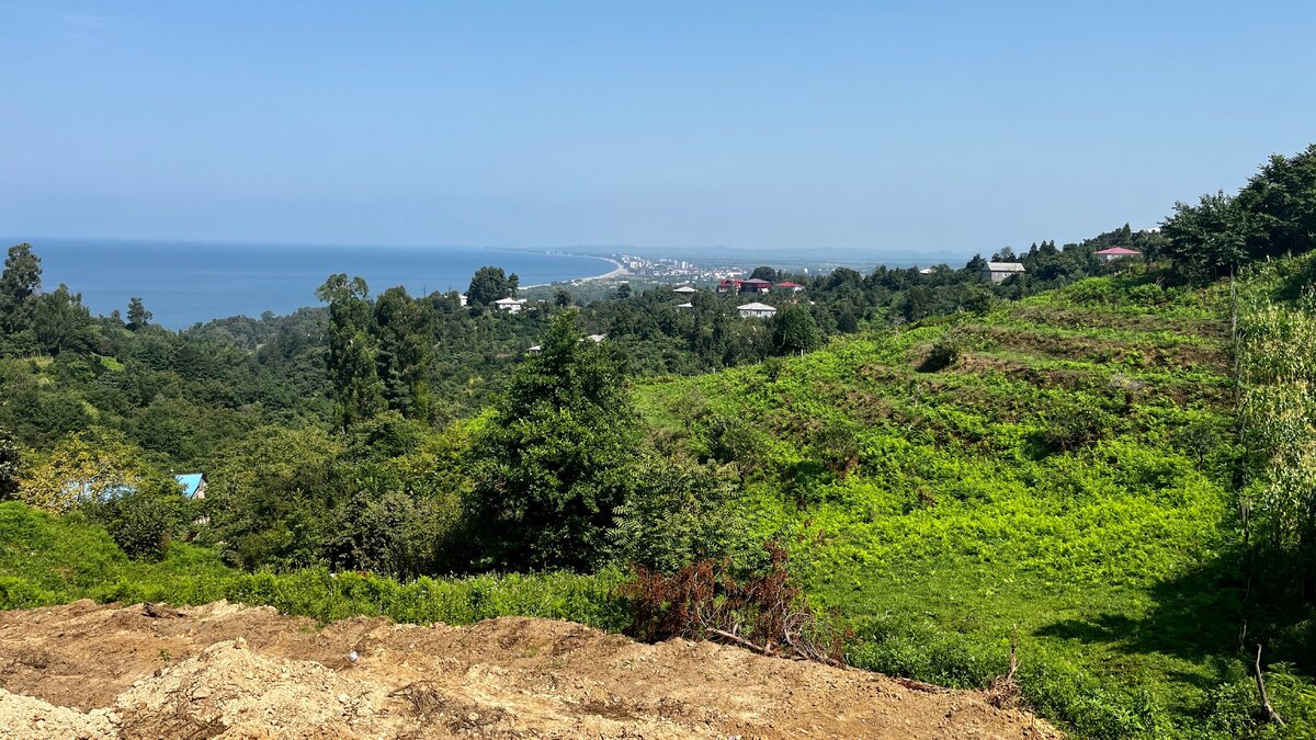 Вид с участка