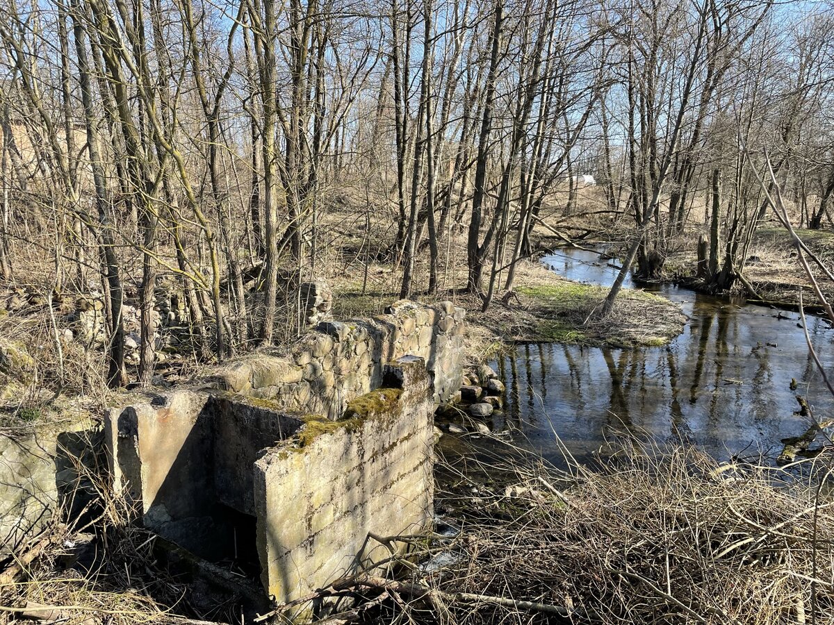 Походил вокруг остановки и нашёл остатки водяной мельницы