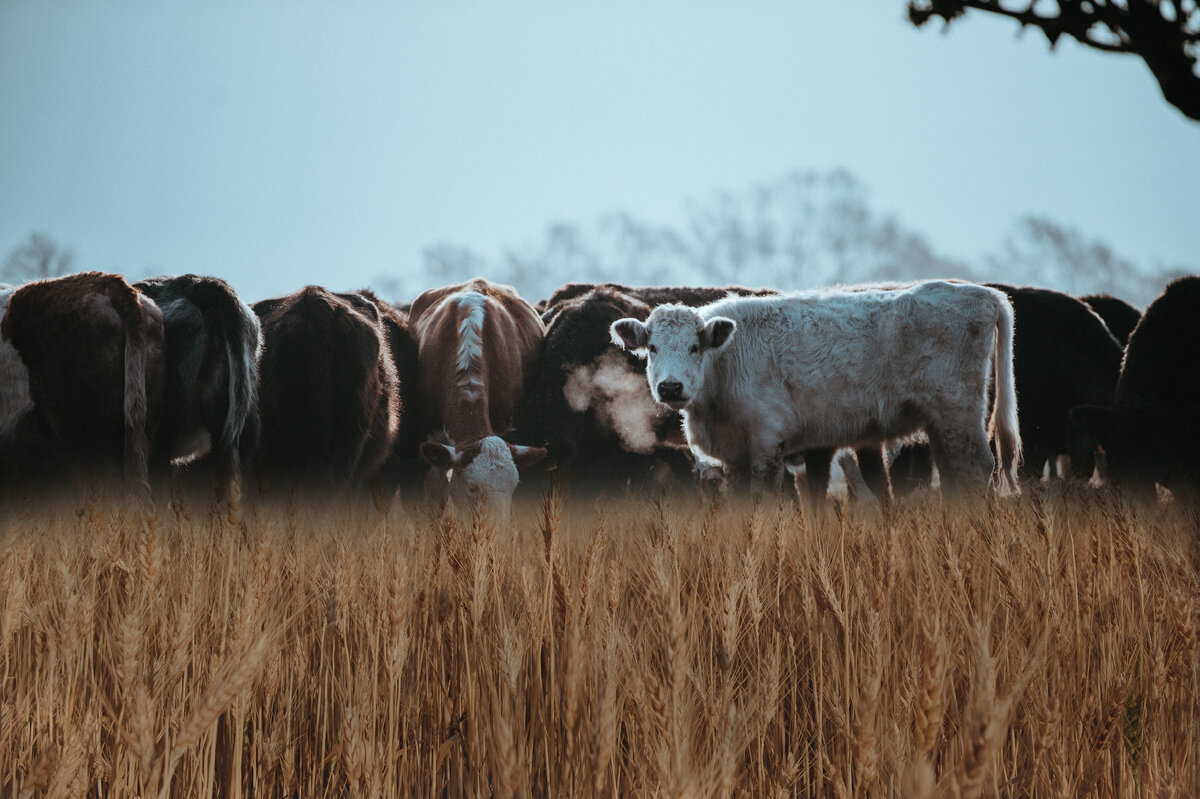 Изображение от ArthurHidden на Freepik 