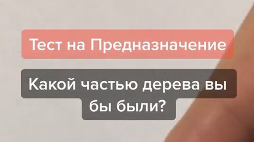 Тест на призвание. Тест на призвание. Процесс интеграции человека в общество. Crt тест. Как найти свое предназначение тест.