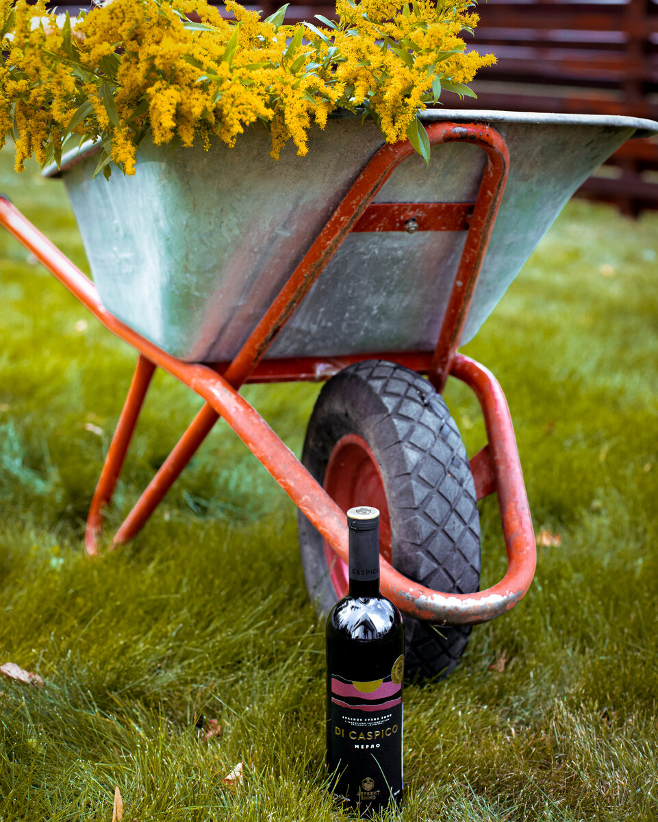 Тихое вино Di Caspico Мерло