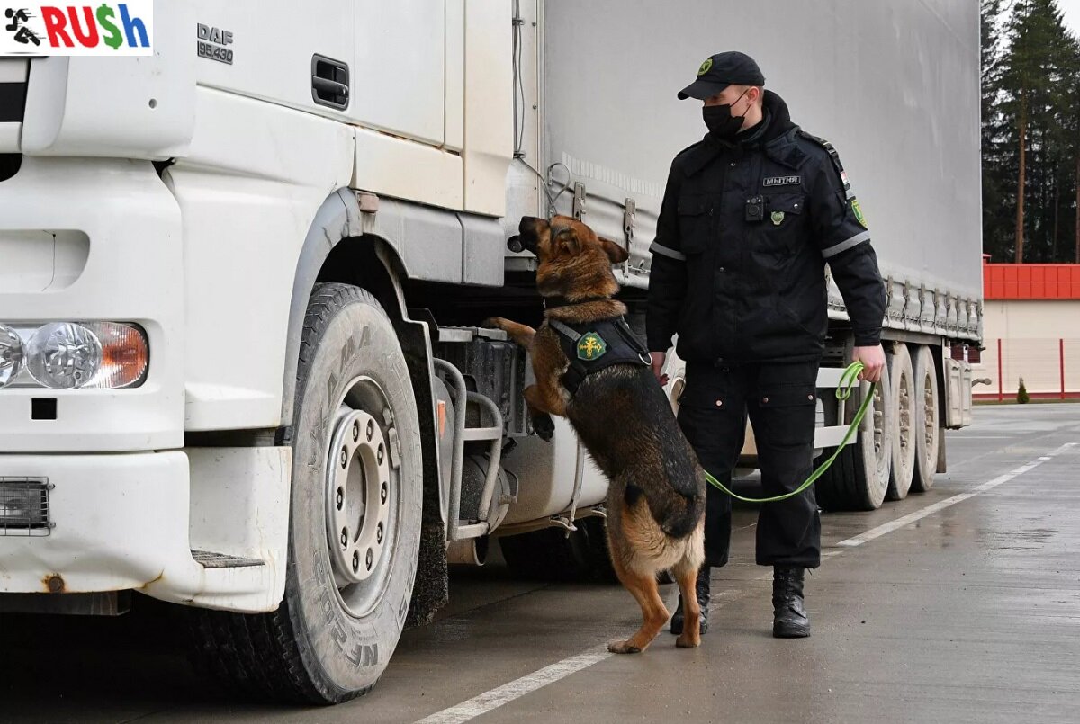 Досмотр фуры в республике Беларусь