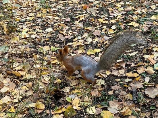     фото сиб.фм
