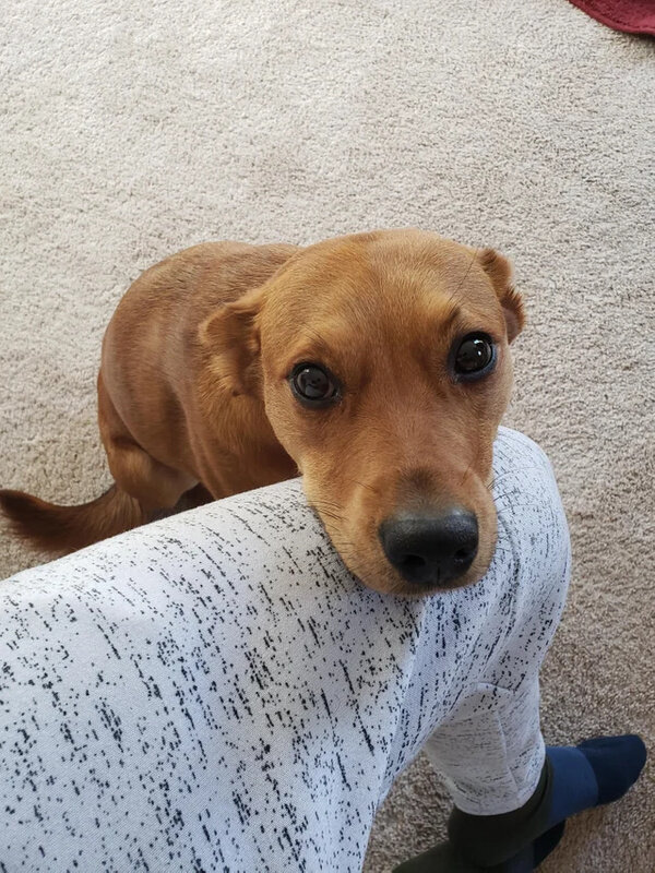 Фото © Reddit / TheZenScientist