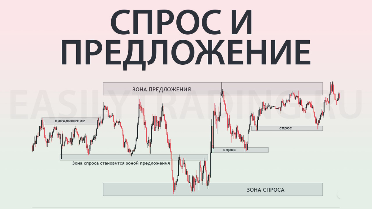 Предложение торговли