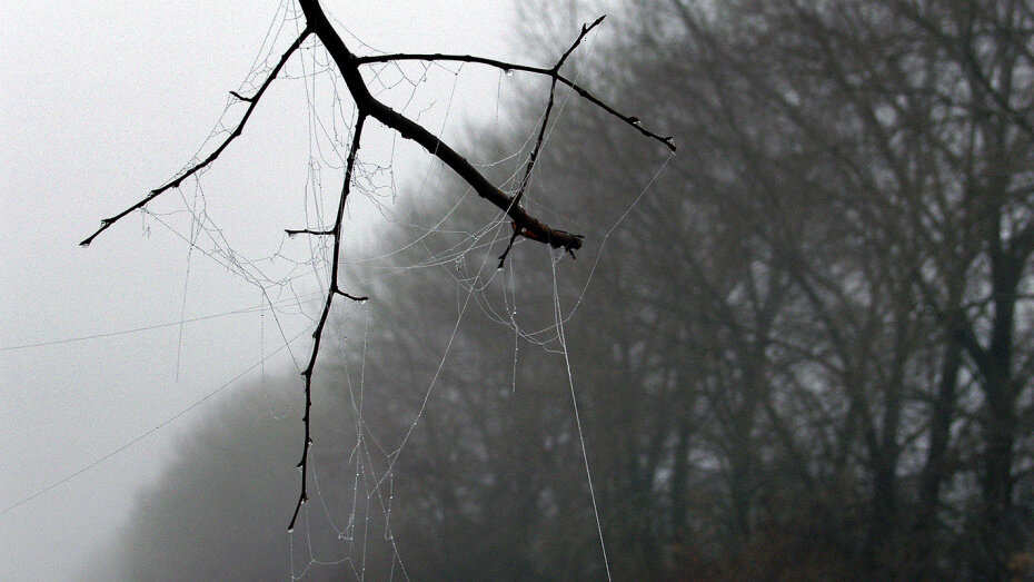   Автор фото: из архива