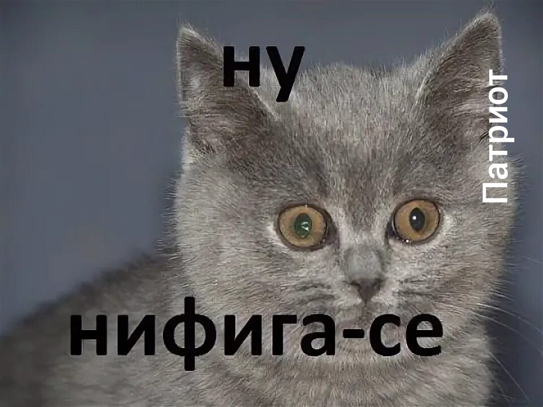 Ни удивления