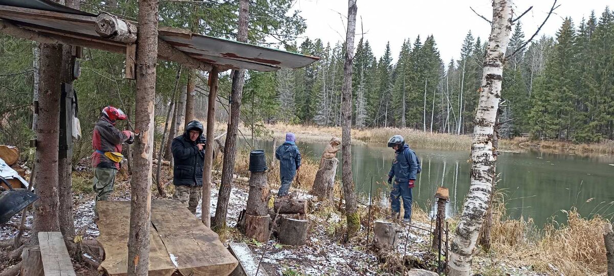 Если присмотритесь, то увидите бобра. 