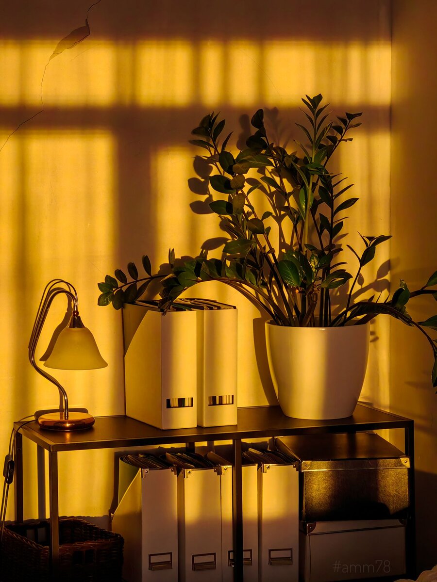 Huawei P50 Pro; f/3.5; 1/25; ISO 500; 