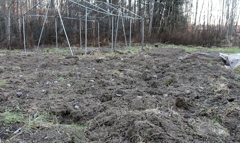 Навоз можно использовать для перекопки грядок в осеннее время.
