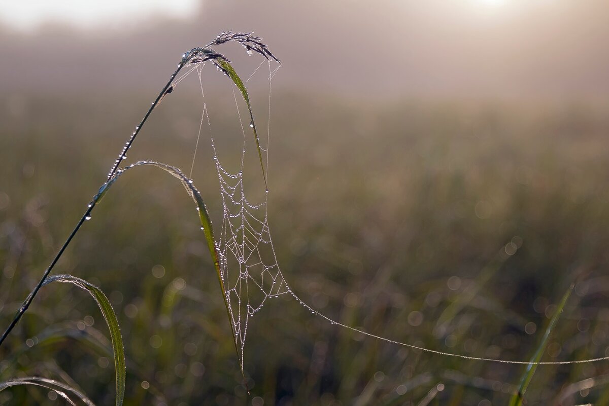 Фото из открытых источников сети интернет.