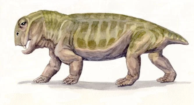 Листрозавр выжил, когда на Земле вымерло 85% видов. Как ему это удалось