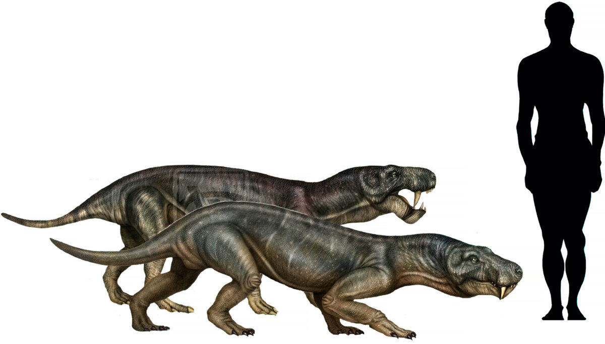 Горгонопс. Саблезубый звероящер. Вымершее животное. Факты о животных