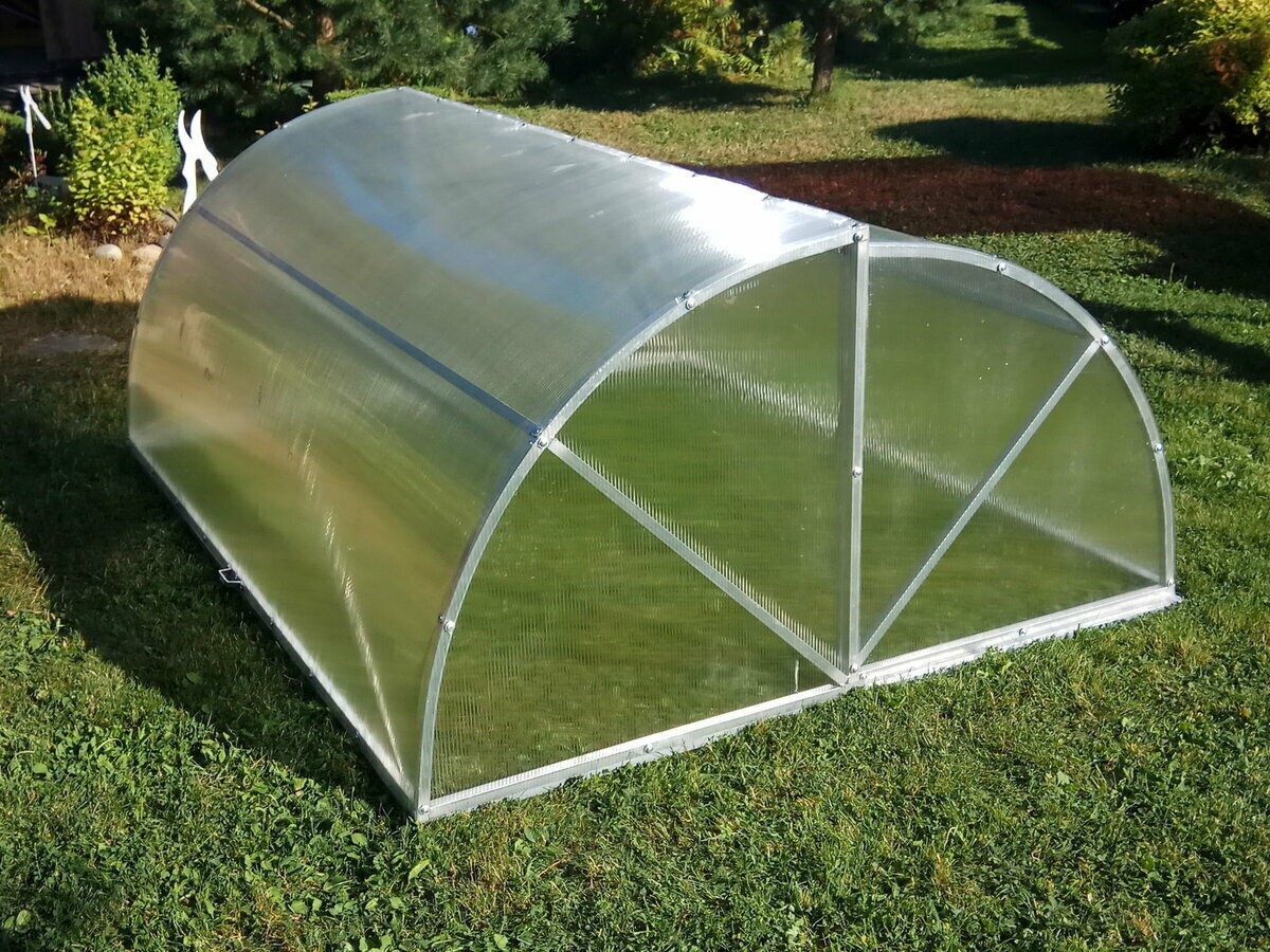 Фотография взята из источника vosadu-li-vogorode.ru