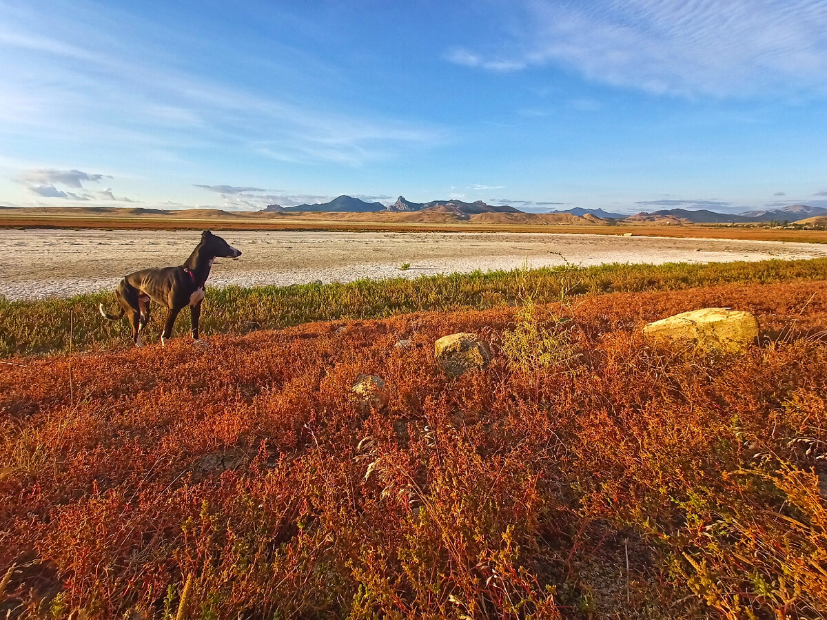 Дакар на фоне озера Бараколь