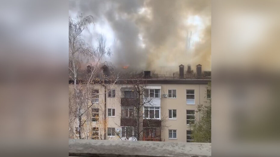   Автор фото: vk.com/vrn_b