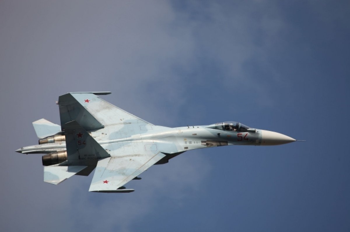    Военный эксперт из США оценил молниеносность Су-57