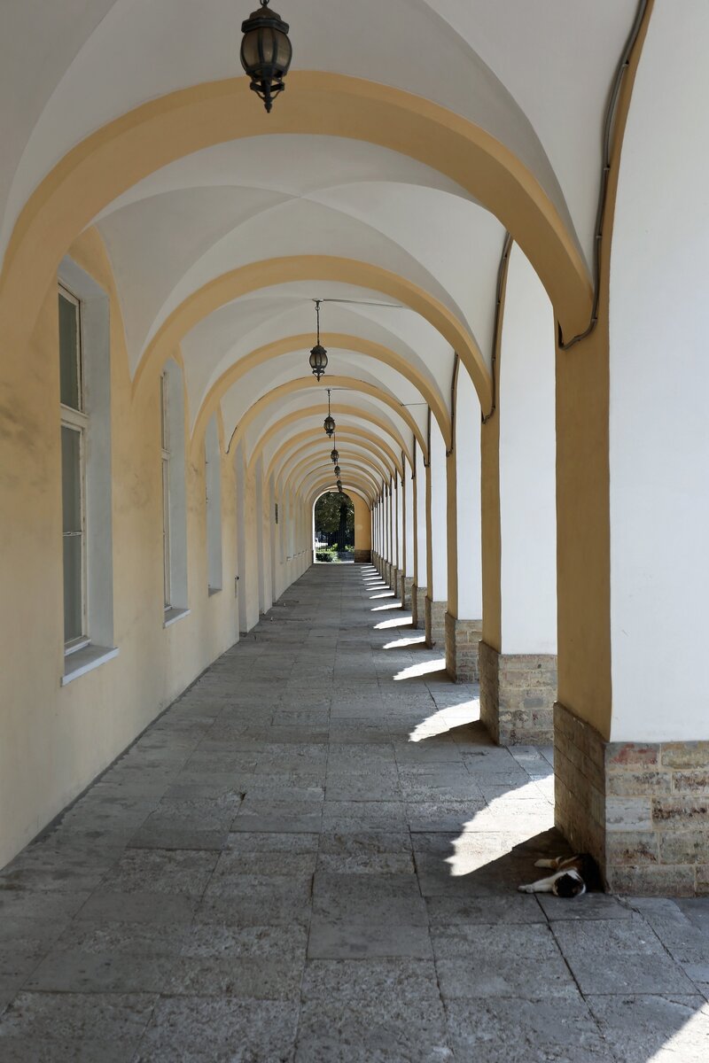 Автор фото: Надежда Панова, http://nadia-photo.ru/