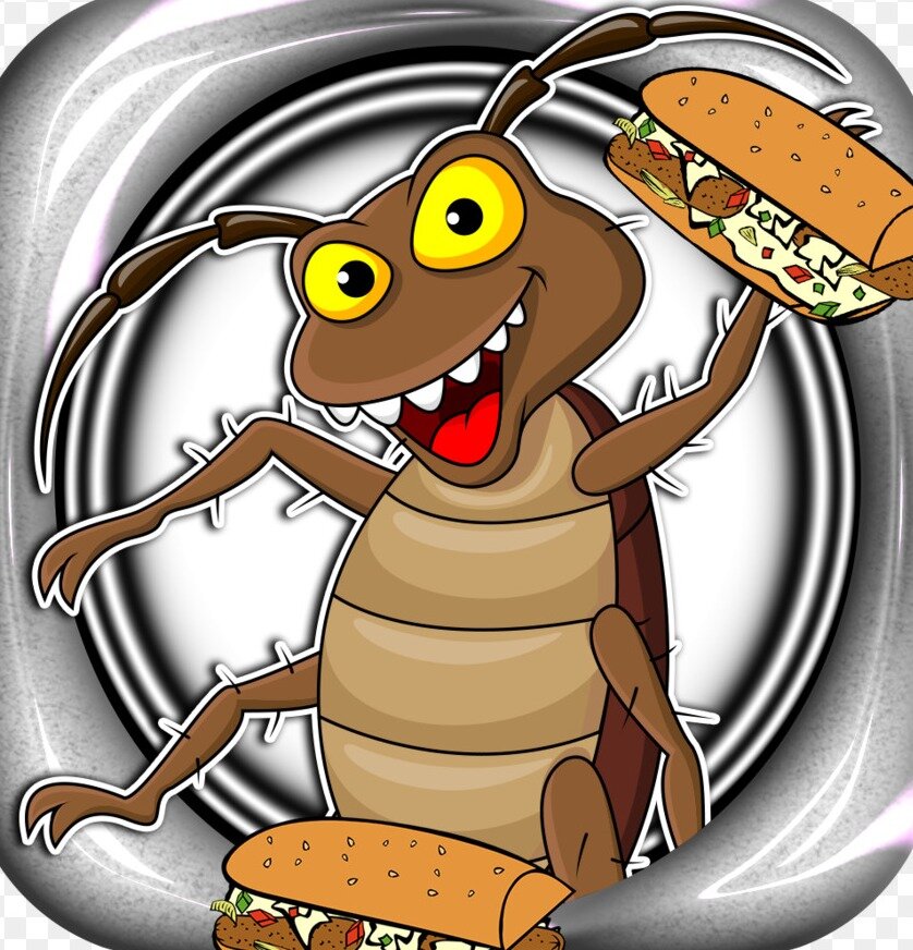 источник :  Яндекс  картинки.