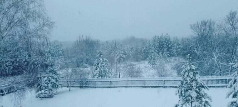    Оренбургскую область накрыл первый в этом году снегопад Белов Михаил Александрович