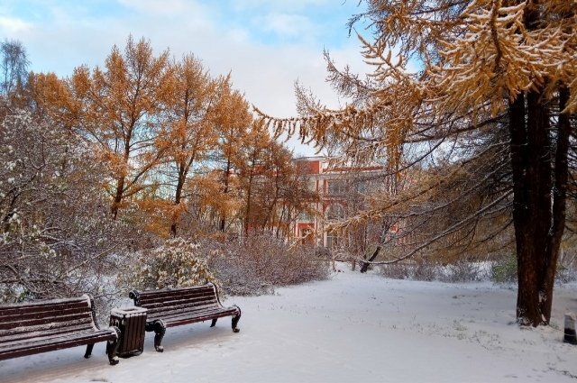    Где 4 ноября в Мурманске пройдёт «Ночь искусств»?