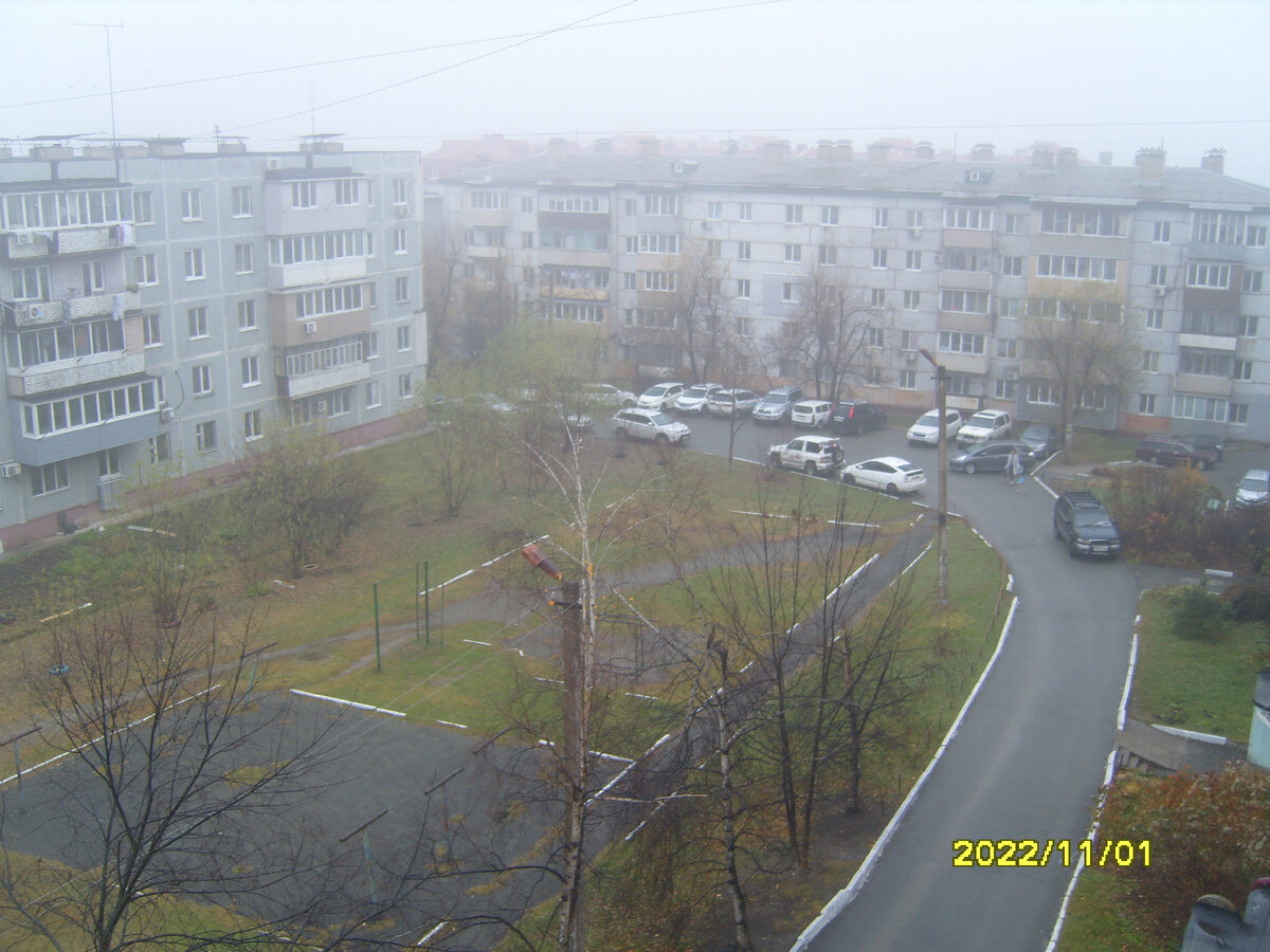 Дождь 1 ноября